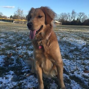 Meet your Posher, Catherine